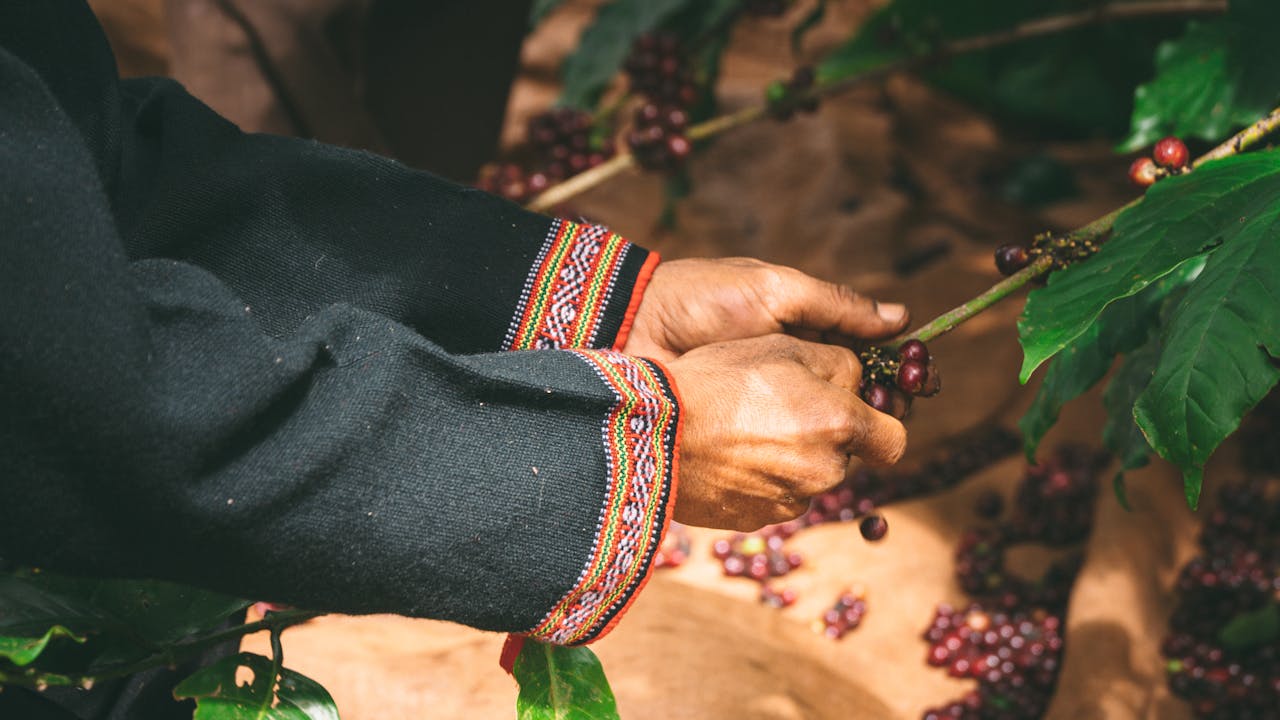 Capture the authentic charm of Vietnam’s cultural scene